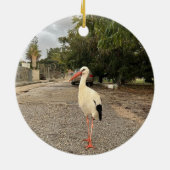 Ornement de cigogne marchant (Dos)