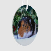 Ornement de cobaye de Noël (devant)