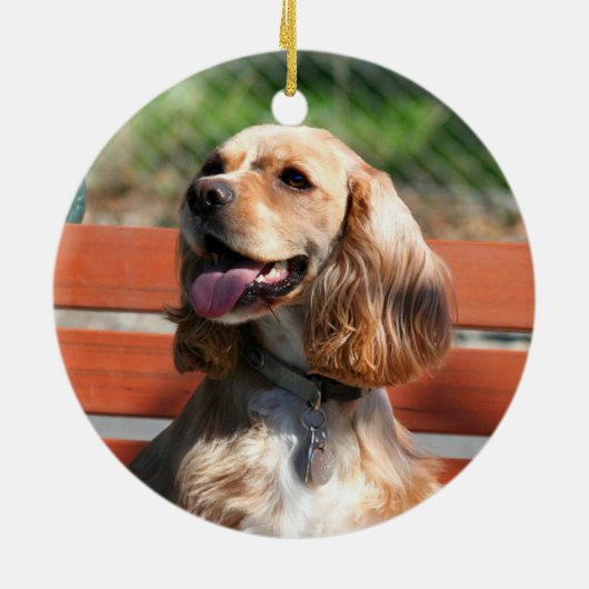 Ornement de cocker (Dos)