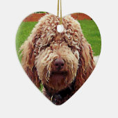 Ornement de coeur de peinture de griffonnage (Droite)