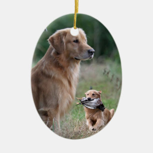 Ornement de collage de golden retriever