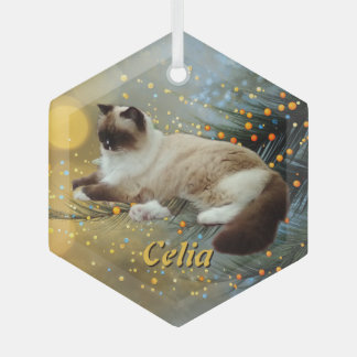 Ornement de compagnie personnalisé en verre pour a