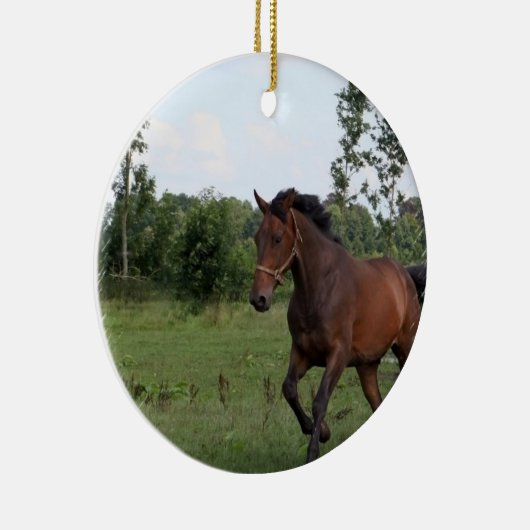 Ornement de conception de cheval de baie (Droite)