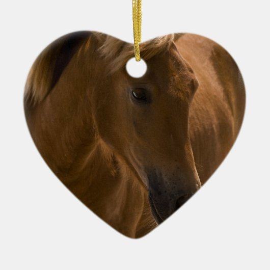 Ornement de conception de cheval de châtaigne (Devant)