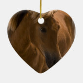 Ornement de conception de cheval de châtaigne (Dos)