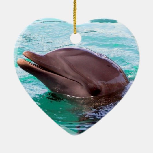 Ornement de conception de dauphin (Dos)