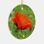 Ornement de coquelicot (Droite)