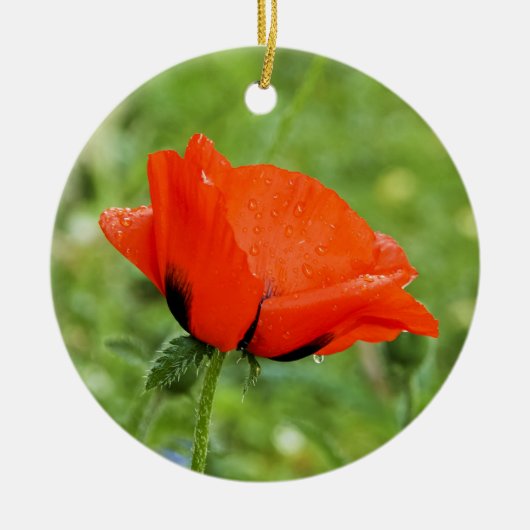 Ornement de coquelicot (Devant)