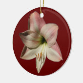 Ornement de ~ d'amaryllis (Gauche)