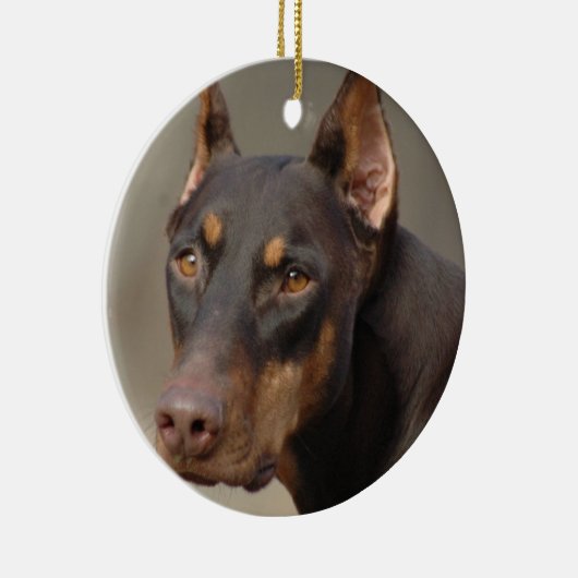 Ornement de dobermann (Droite)