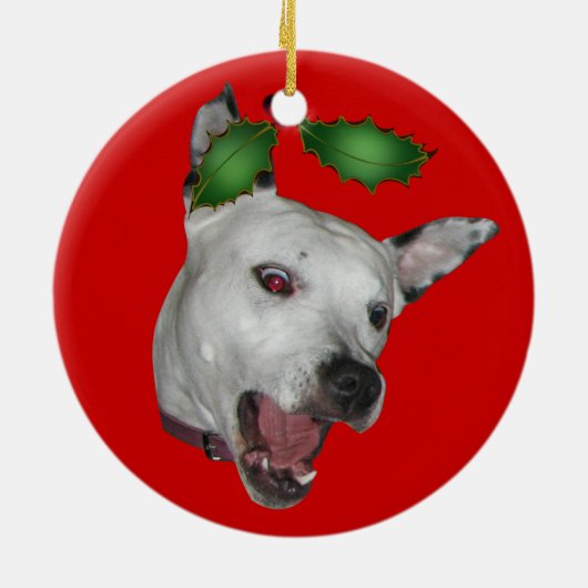 Ornement de Facemauler de baiser (Dos)