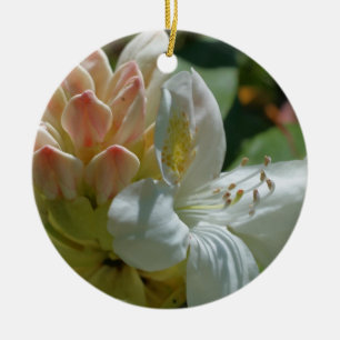 Ornement de fleurs d'azalée blanche
