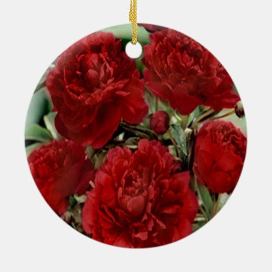 Ornement de fleurs de carnation rouge (Dos)