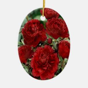 Ornement de fleurs de carnation rouge