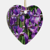 Ornement de fleurs d'Irises à poils violets (Droite)