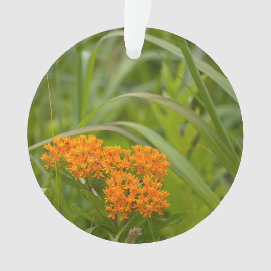 Ornement de fleurs sauvages orange (devant)