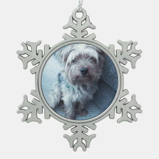 Ornement de flocon de neige (Devant)