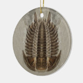 Ornement de fossile de Trilobite (Gauche)