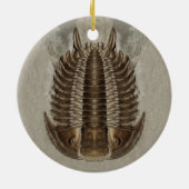 Ornement de fossile de Trilobite (Dos)