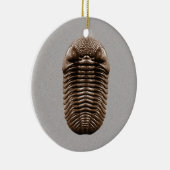 Ornement de fossile de Trilobite (Droite)
