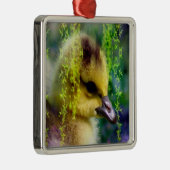 Ornement de Gosling de bébé (Droite)