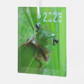 Ornement de grenouille à arbre vert (Avant gauche)