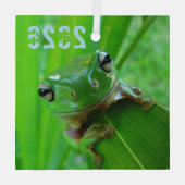 Ornement de grenouille à arbre vert (Verso)