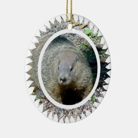 Ornement de Groundhog (Droite)