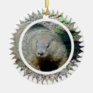 Ornement de Groundhog