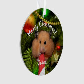Ornement de hamster drôle mangeant un bâton de bon (devant)