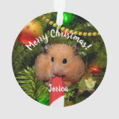 Ornement de hamster drôle mangeant un bâton de bon (dos)