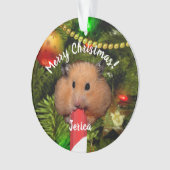 Ornement de hamster drôle mangeant un bâton de bon (devant)