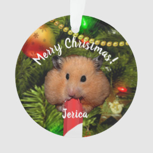 Ornement de hamster drôle mangeant un bâton de bon