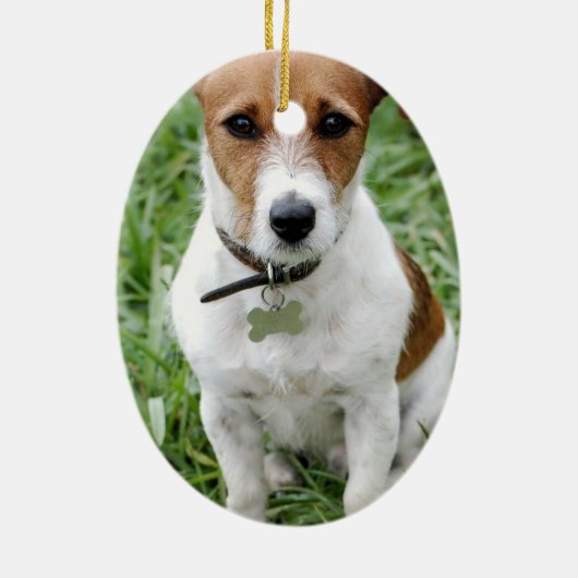 Ornement de Jack Russell (Dos)