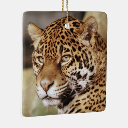 Ornement de Jaguar (Droite)