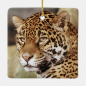 Ornement de Jaguar (Dos)