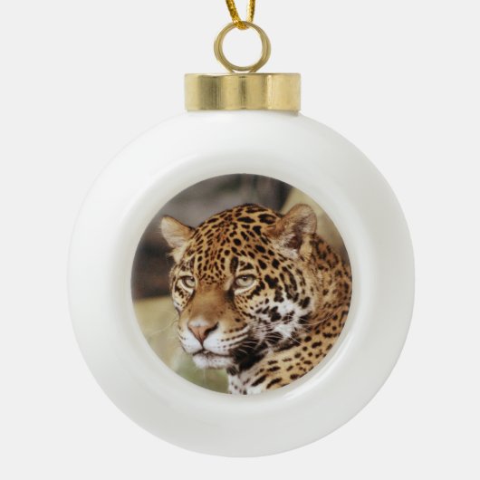 Ornement de Jaguar (Devant)