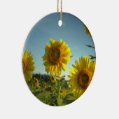 Ornement de jardinage organique (Droite)