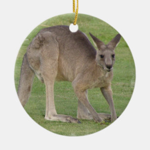 Ornement de Kanagaroo