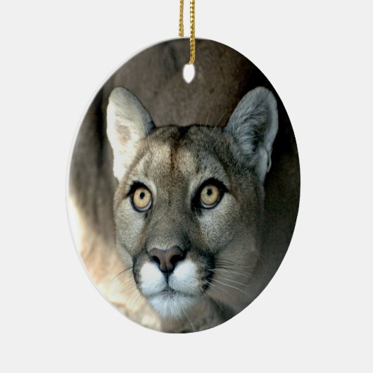 Ornement de Kaya (Droite)