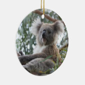 Ornement de koala (Droite)