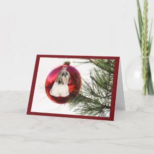 Ornement de la carte de Noël Shih Tzu