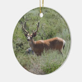 Ornement de la faune, cerf mule, nature, animaux (Gauche)