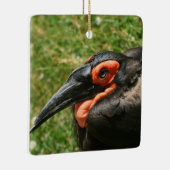 Ornement de la Hornbill africaine au sol (Droite)