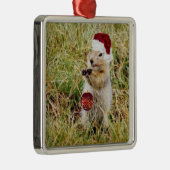 Ornement de la meilleure qualité avec le chien de (Droite)