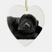 Ornement de laboratoire de sommeil (Droite)