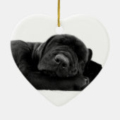 Ornement de laboratoire de sommeil (Dos)