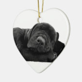 Ornement de laboratoire de sommeil (Gauche)