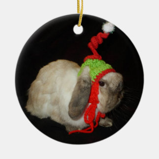 Ornement de lapin de Noël