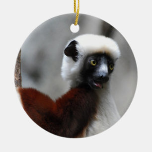 Ornement de lémur de Sifaka